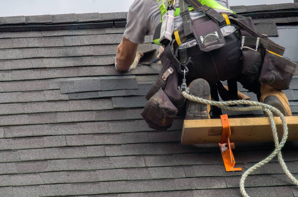 Roof Moss and Algae Removal